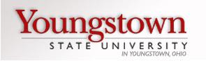 YSUlogo.jpg (6208 bytes)
